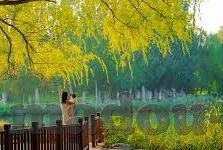 糖心vlog兑换码在哪换-寻找糖心Vlog兑换码的秘密花园——快速兑换攻略